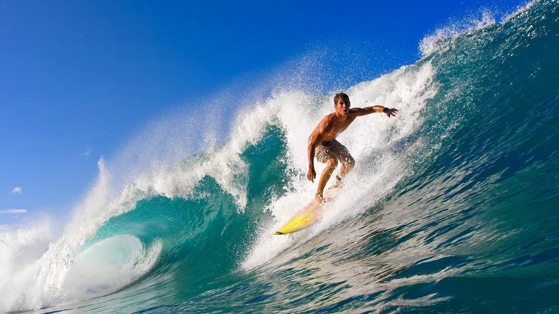 史上最大“黑马军团”逆转夺冠，神话成真，大黑马是谁
